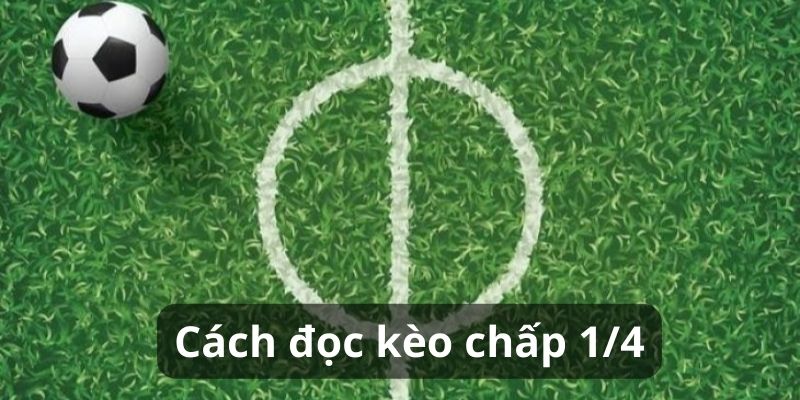 Cách đọc kèo chấp 1/4 Cách đọc kèo chấp 1/4